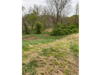 Recently surveyed 93.5 acres of versatile land ready for your - photo 9