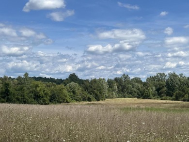Lake Acreage For Sale in Hillsdale, Michigan