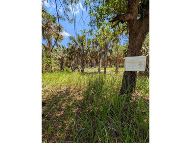 Large .37 acre lot with road access on three sides and not - photo 8