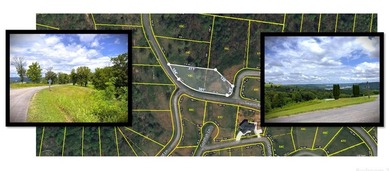 WELCOME TO THE POINTE. This lot features both the beauty of - photo 3