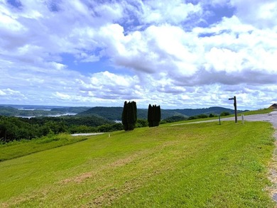 WELCOME TO THE POINTE. This lot features both the beauty of - photo 4