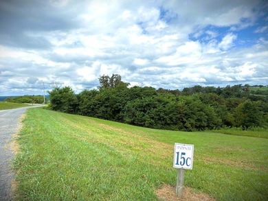 WELCOME TO THE POINTE. This lot features both the beauty of - photo 8