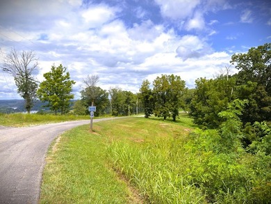 WELCOME TO THE POINTE. This lot features both the beauty of - photo 10