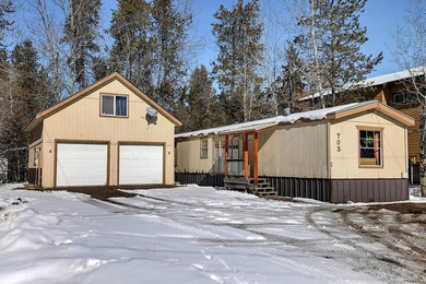 Lake Home For Sale in Mccall, Idaho