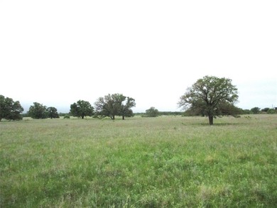 (private lake, pond, creek) Acreage For Sale in Jacksboro Texas