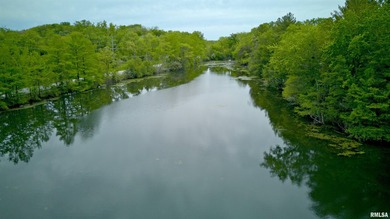 Located just outside Morris, Illinois in the Coal City Community - photo 5
