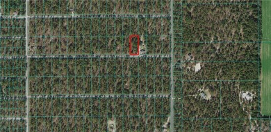 Bonable Lake Lot Sale Pending in Dunnellon Florida
