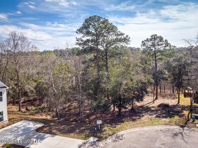 WATERFRONT acreage located in Stillwater Bluff. This is the - photo 6