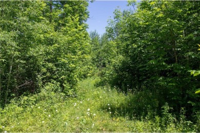 Lake Acreage For Sale in Moose Lake Twp, Minnesota
