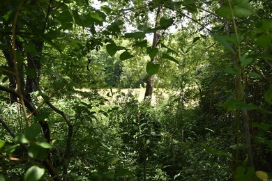 MOTIVATED SELLER!! Beautiful Riverfront Property in private - photo 14