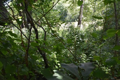 MOTIVATED SELLER!! Beautiful Riverfront Property in private - photo 15