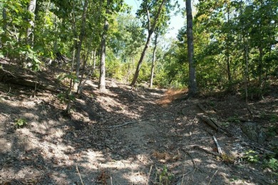 Lake Acreage For Sale in Flemingsburg, Kentucky