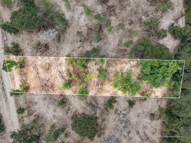 (private lake, pond, coastal) Lot For Sale in Mc Lain Mississippi