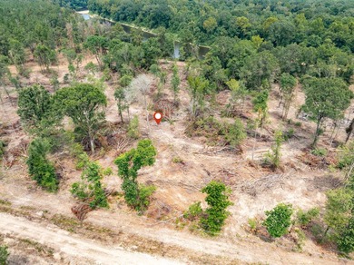 1.0 MOL AC Old Hwy 24 Parcel 6 - photo 6