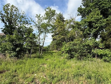 Table Rock Lake - Carroll County Lot For Sale in Holiday Island Arkansas
