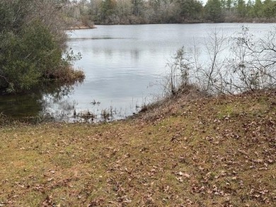 Lake Acreage Sale Pending in Other, Louisiana