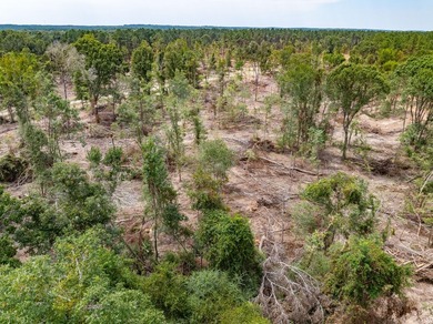 1.04 MOL AC Old Hwy 24 Parcel 7 - photo 4