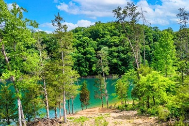 RARE Norris Lake waterfront opportunity! This 0.66-acre - photo 5
