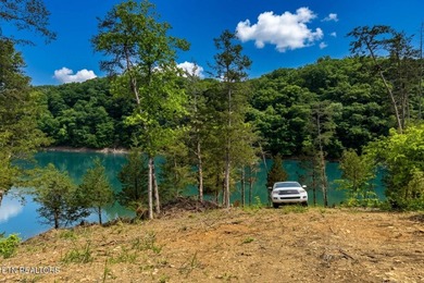 RARE Norris Lake waterfront opportunity! This 0.66-acre - photo 6