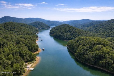 RARE Norris Lake waterfront opportunity! This 0.66-acre - photo 10