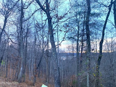 Attention investors, builders, and Norris Lake Lovers alike. Do - photo 4