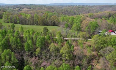 Attention investors, builders, and Norris Lake Lovers alike. Do - photo 7