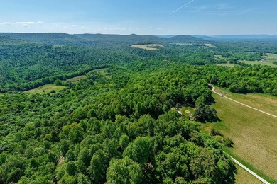 This tract offers so many possibiities and has endless - photo 4