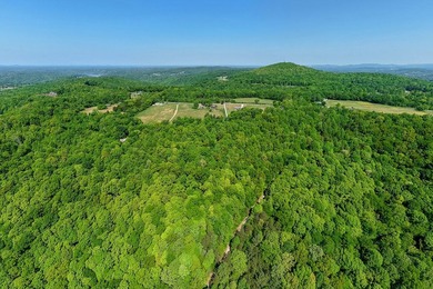 This tract offers so many possibiities and has endless - photo 7