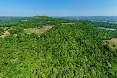 This tract offers so many possibiities and has endless - photo 8