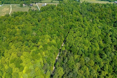 This tract offers so many possibiities and has endless - photo 9