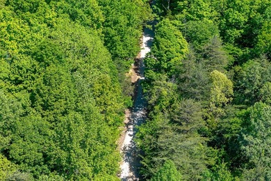 This tract offers so many possibiities and has endless - photo 10