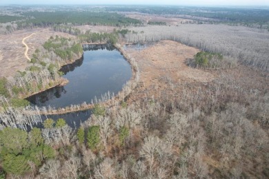 Lake Acreage For Sale in Raleigh, Mississippi