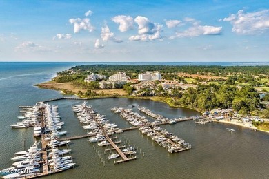 Hard to resist at this price! This gorgeous ''Resort'' home is - photo 50