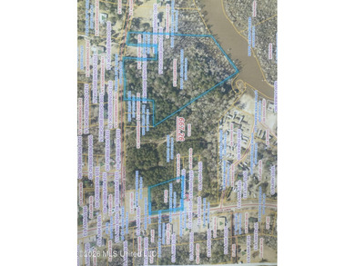 Looking for a waterfront lot? This is it but with more land to - photo 4