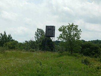 Lake Acreage For Sale in Montgomery, Michigan