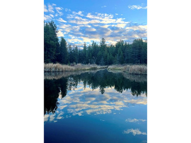 Lake Acreage For Sale in Cascade, Idaho