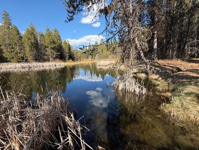 GORGEOUS LAKEFRONT 4 ACRE PARCEL WITH PRIVATE DOCK RIGHTS! Rare - photo 4