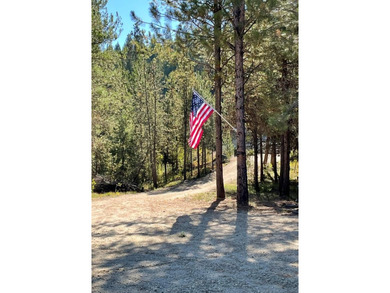 GORGEOUS LAKEFRONT 4 ACRE PARCEL WITH PRIVATE DOCK RIGHTS! Rare - photo 5