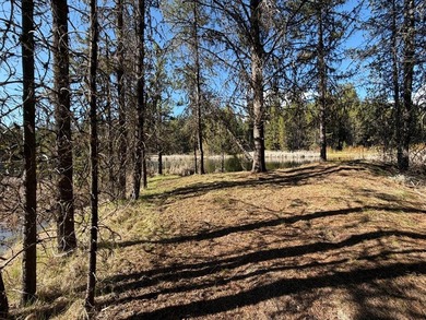 GORGEOUS LAKEFRONT 4 ACRE PARCEL WITH PRIVATE DOCK RIGHTS! Rare - photo 6
