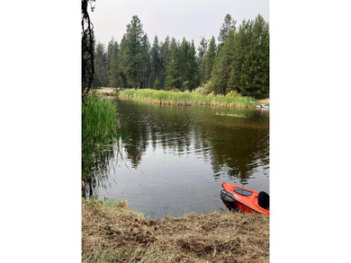 GORGEOUS LAKEFRONT 4 ACRE PARCEL WITH PRIVATE DOCK RIGHTS! Rare - photo 7