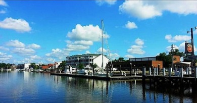 Ideally situated just south of Historic Georgetown, this classic - photo 42