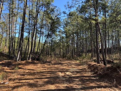 Lake Acreage For Sale in Magnolia, Mississippi