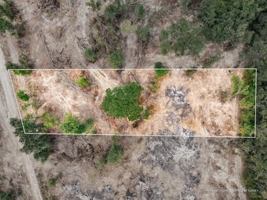 (private lake, pond, coastal) Lot For Sale in Mc Lain Mississippi