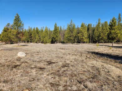 Lake Acreage For Sale in Sula, Montana