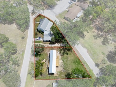 Homosassa River Home For Sale in Homosassa Florida