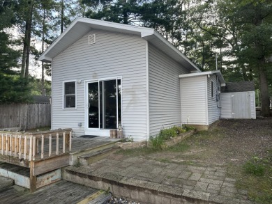 Lake Home For Sale in Irons, Michigan