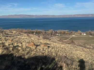 Incredible views of Bear Lake from this lot in Swan Creek Sub!! - photo 6