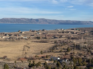 Incredible views of Bear Lake from this lot in Swan Creek Sub!! - photo 7