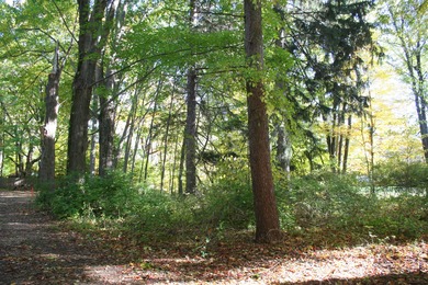 Lake Michigan - Van Buren County Lot For Sale in South Haven Michigan