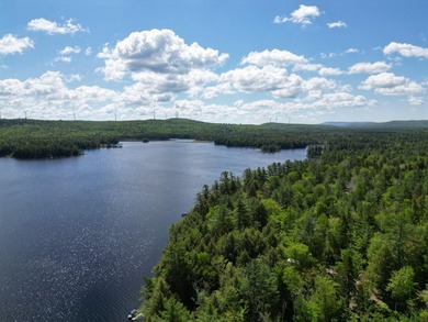 Escape to the peace and quiet of Upper Pond with this charming - photo 30